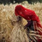Agriculture infrastructure fund loans to boost APMCs